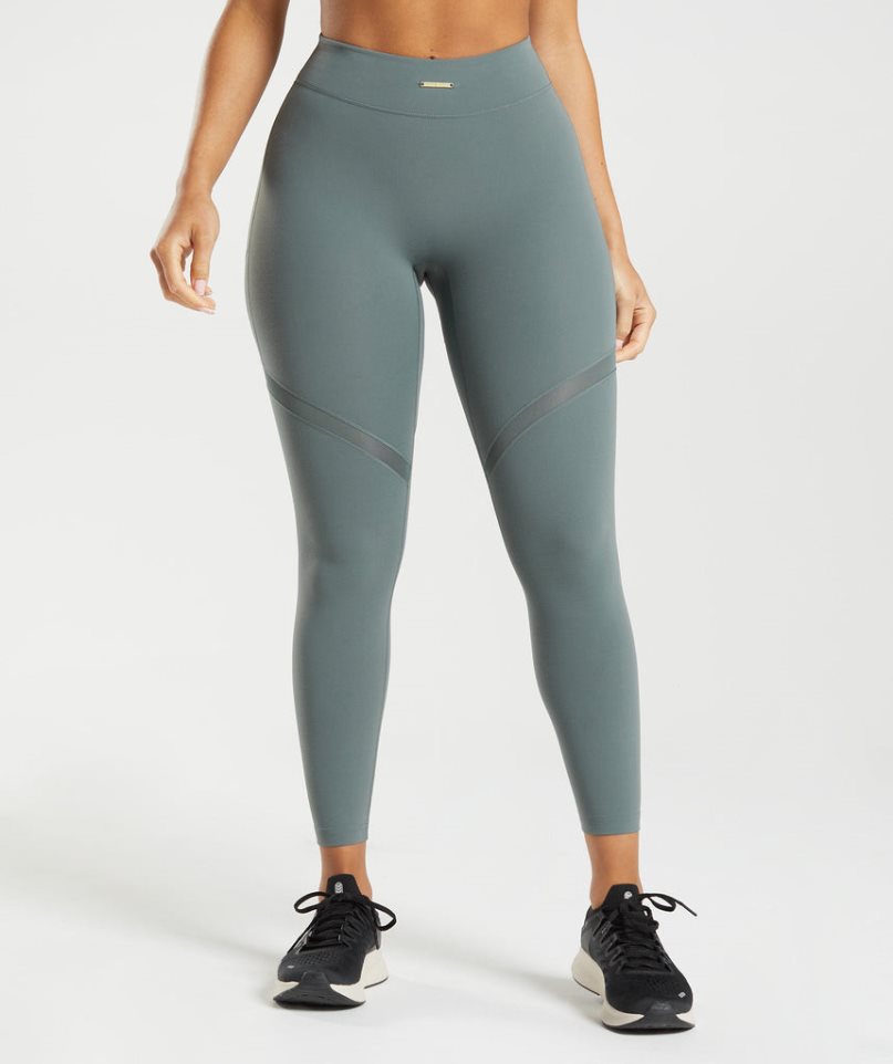 Legginsy Gymshark Whitney Mesh Damskie Szare | PL 182CRX